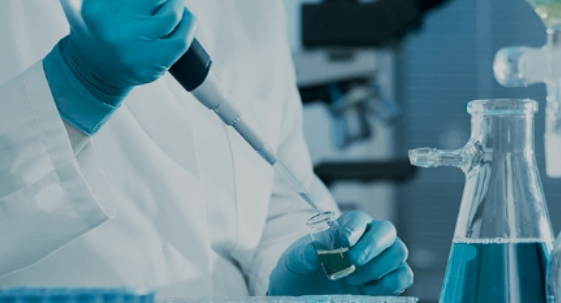 Gel điện di Agarose nhuộm sẵn