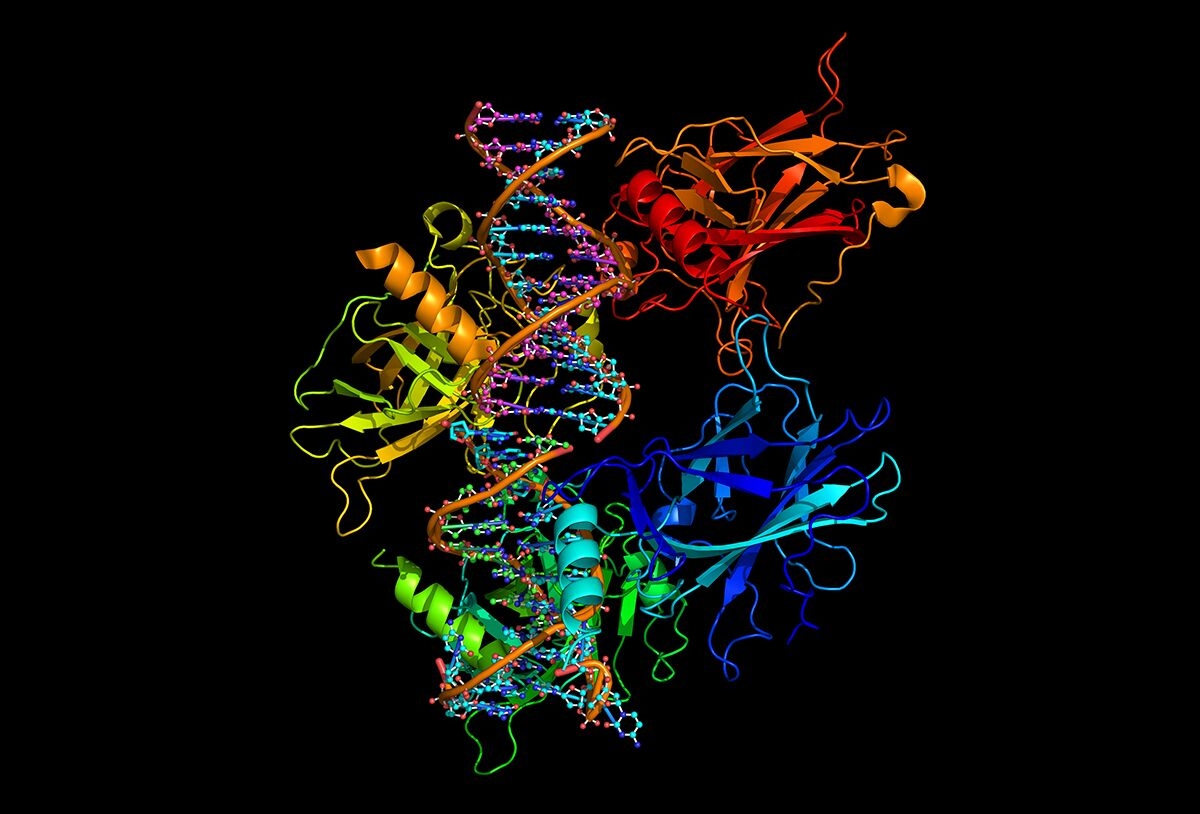 Thiết bị hình ảnh phân tích protein
