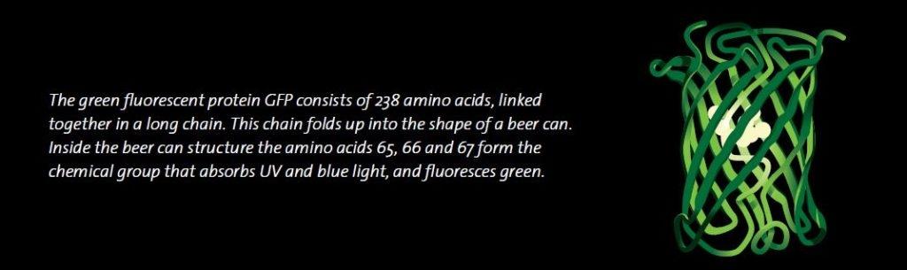 Máy đo huỳnh quang để bàn