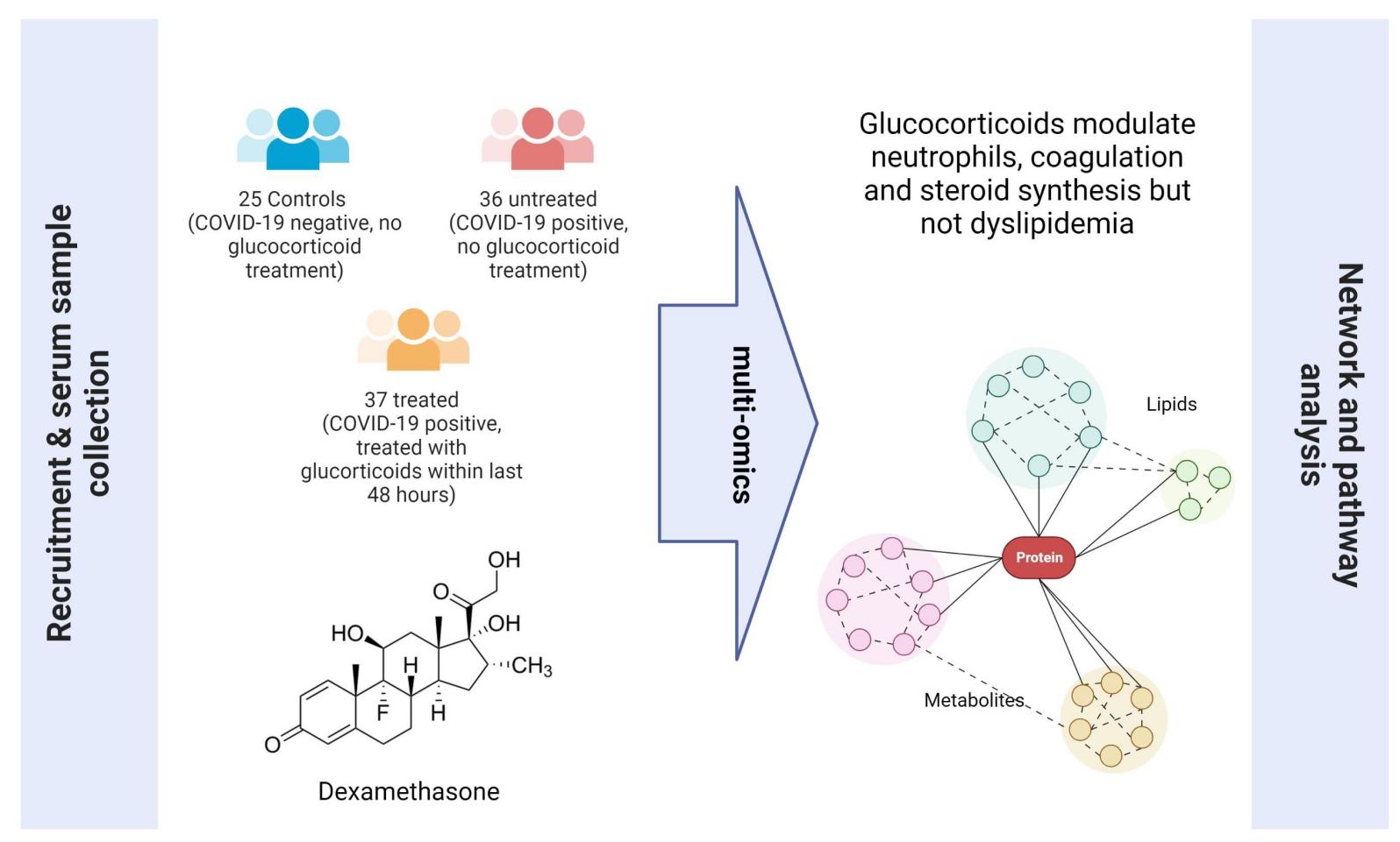 Máy siêu âm hiệu suất cao cho phòng thí nghiệm