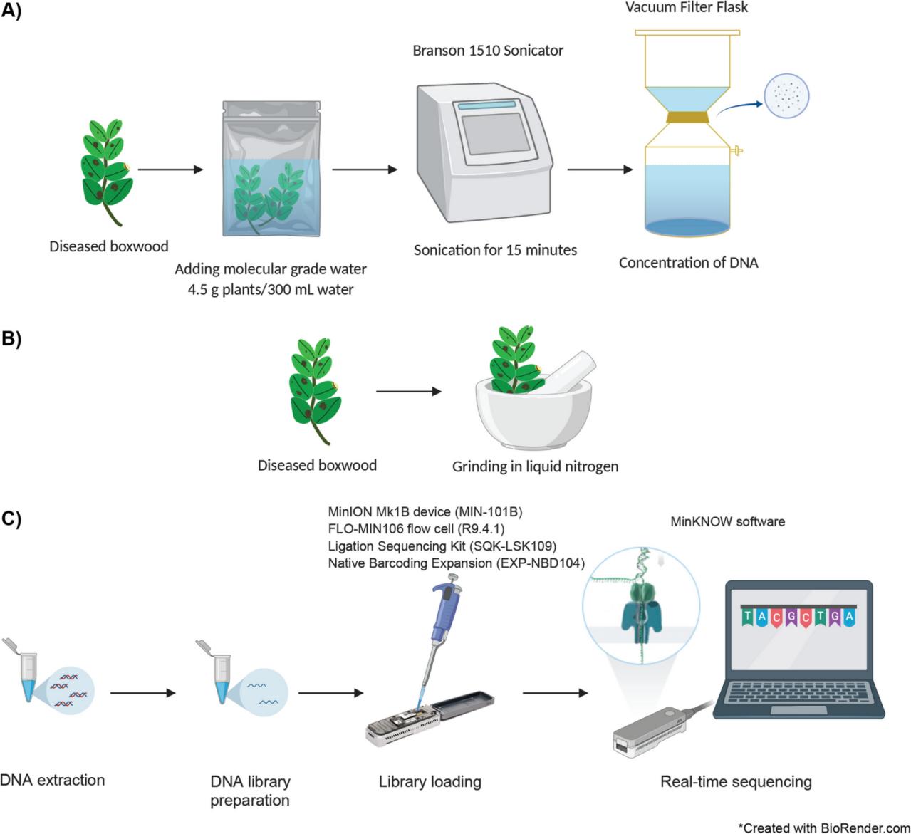 máy đồng nhất siêu âm
