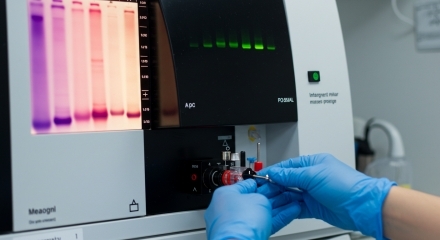 Hệ thống hình ảnh của công ty công nghệ sinh học