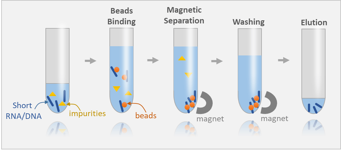 Giá đỡ từ tính để phân lập RNA