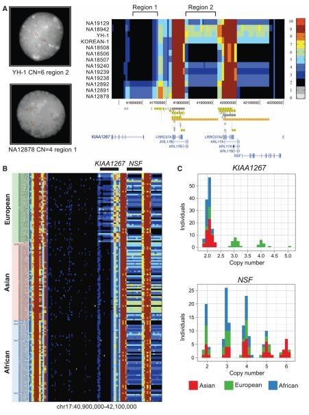 Máy siêu âm để chiết xuất DNA