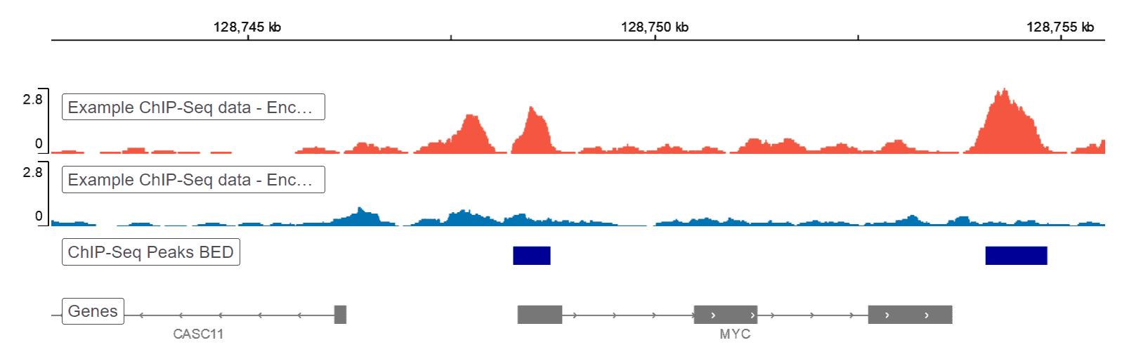 Quy trình phân tích dữ liệu ChIP-Seq