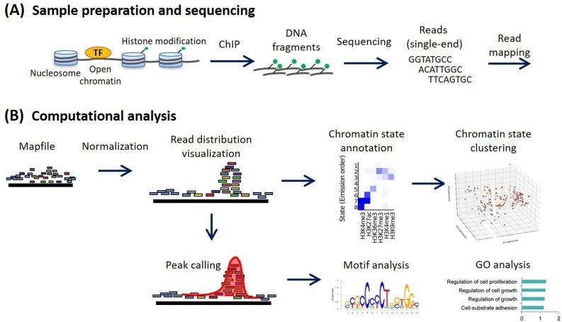 Khắc phục sự cố ChIP-Seq