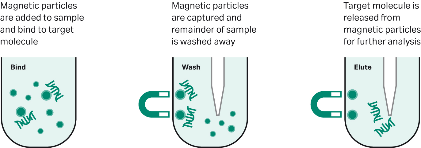 Máy tách từ tính để tinh chế axit nucleic