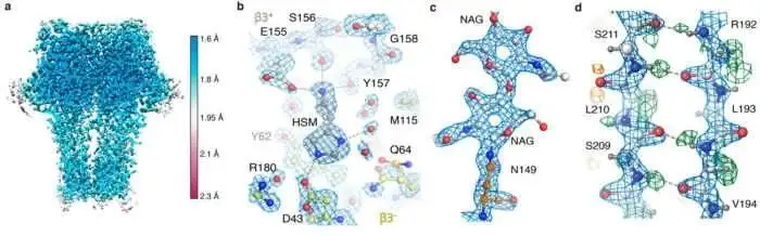 Cryo-Em độ phân giải cao