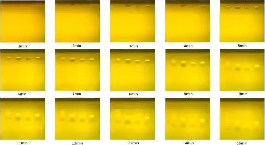 Super Fast Precast Gel For Gel Electrophoresis